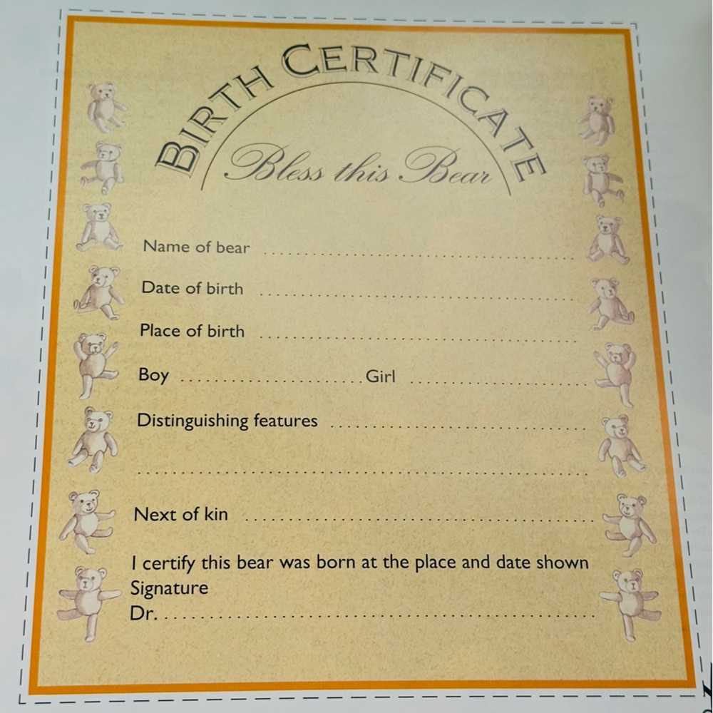 The Teddy Bear Kit Paperback Book - Picture 10 of 11